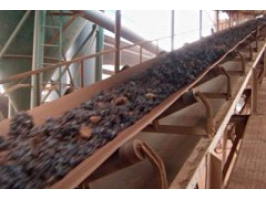 High Temperature Resistant Conveyor Belt