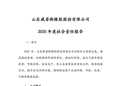 2020年度社會責任報告